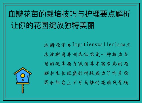 血瓣花苗的栽培技巧与护理要点解析 让你的花园绽放独特美丽